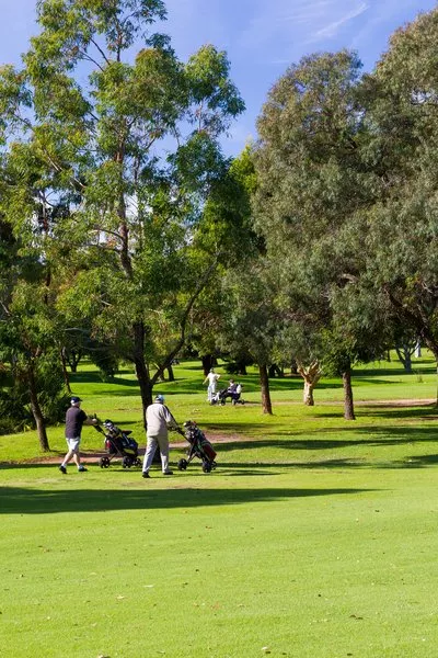 Woolooware